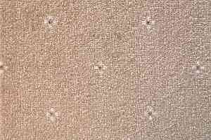 Ковролин AW Animo 34 фото  | FLOORDEALER